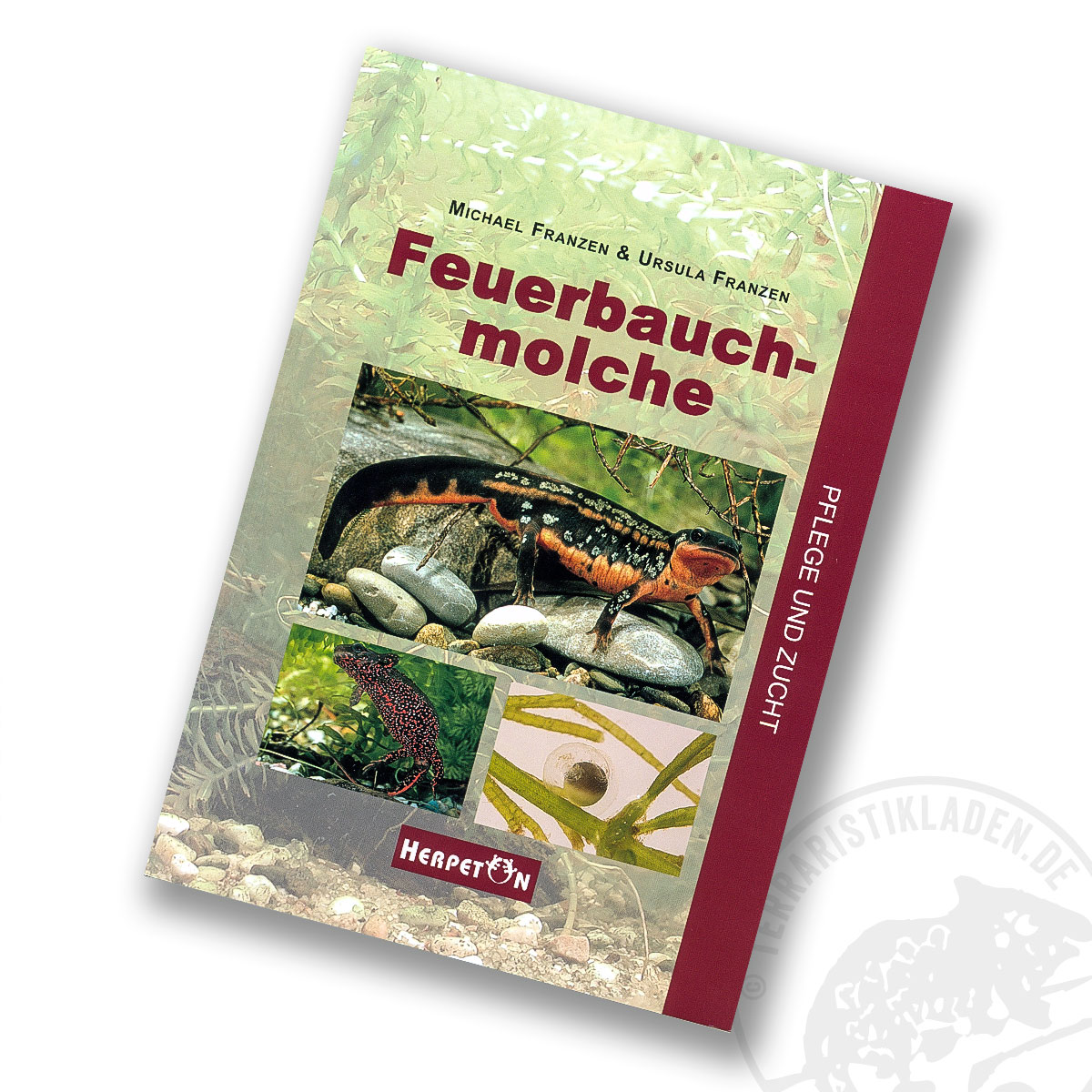 Feuerbauchmolch