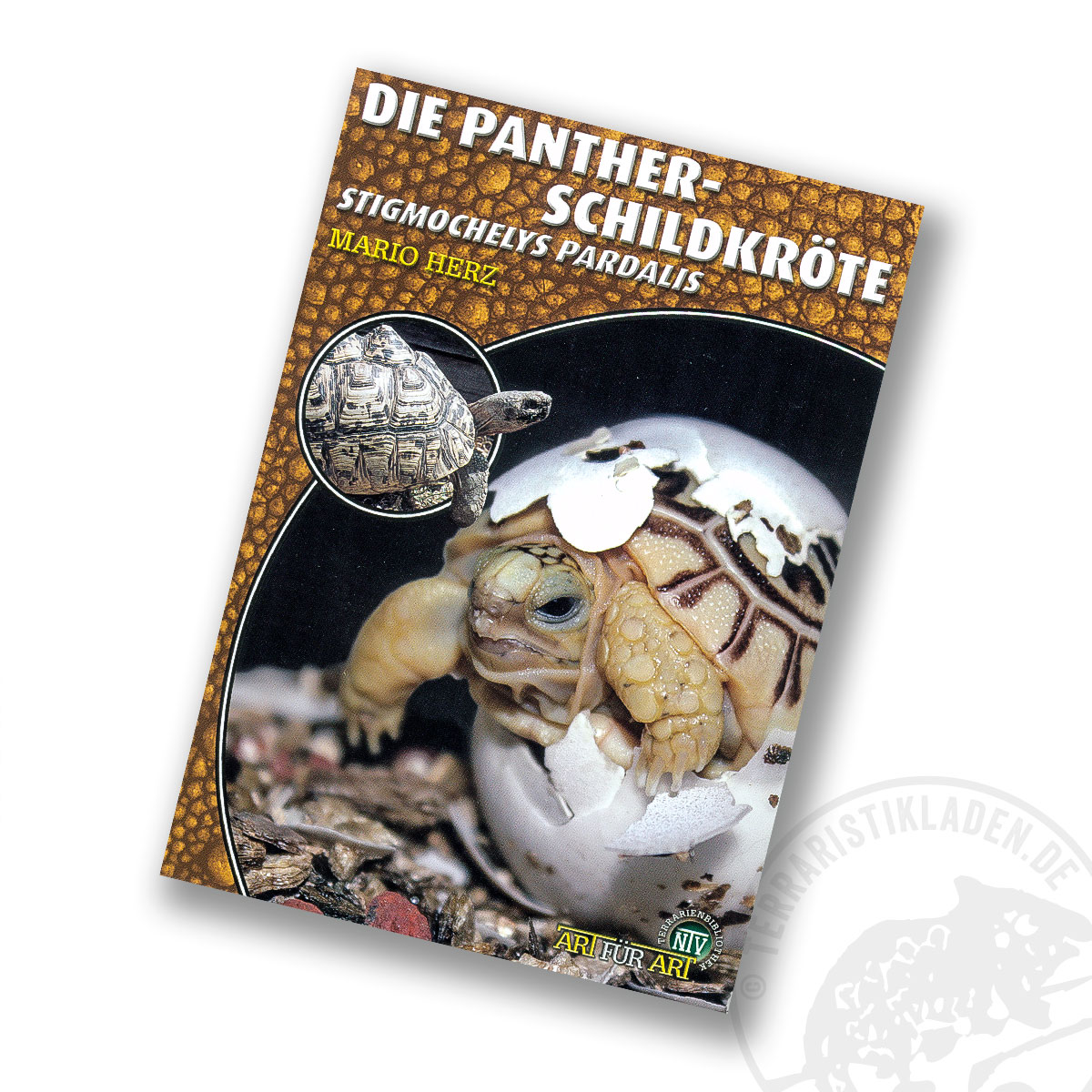 Art für Art Die Pantherschildkröte