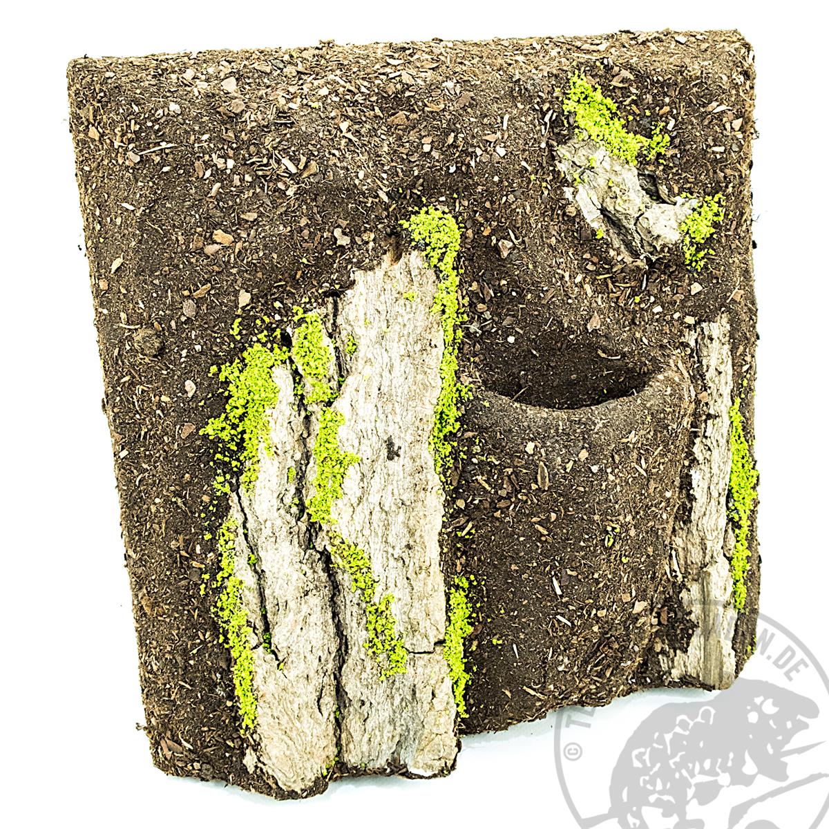 Terrarienrückwände mit Pflanzmulde 28 x 28 cm