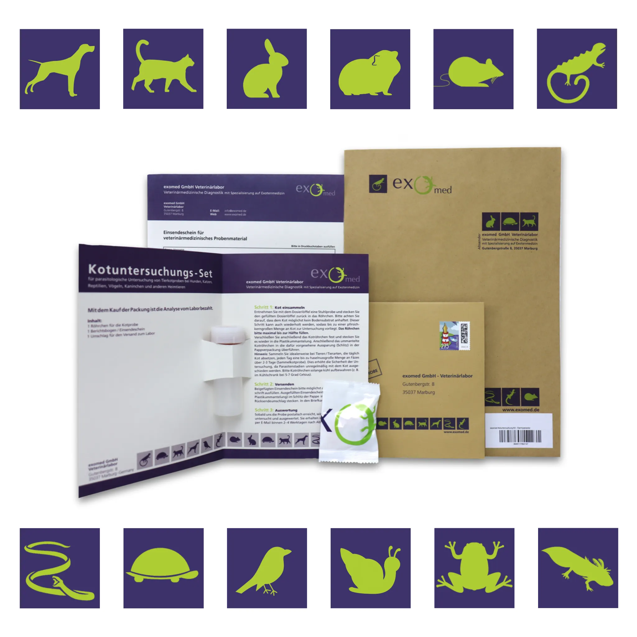 Kotuntersuchung für Reptilien – Basis-Test auf Darmparasiten von exomed