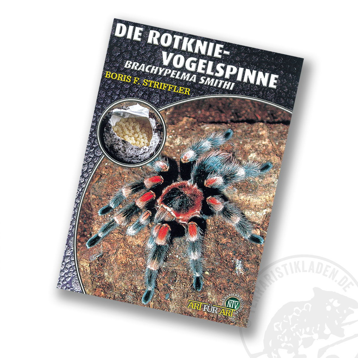 Art für Art Die Rotknie - Vogelspinne