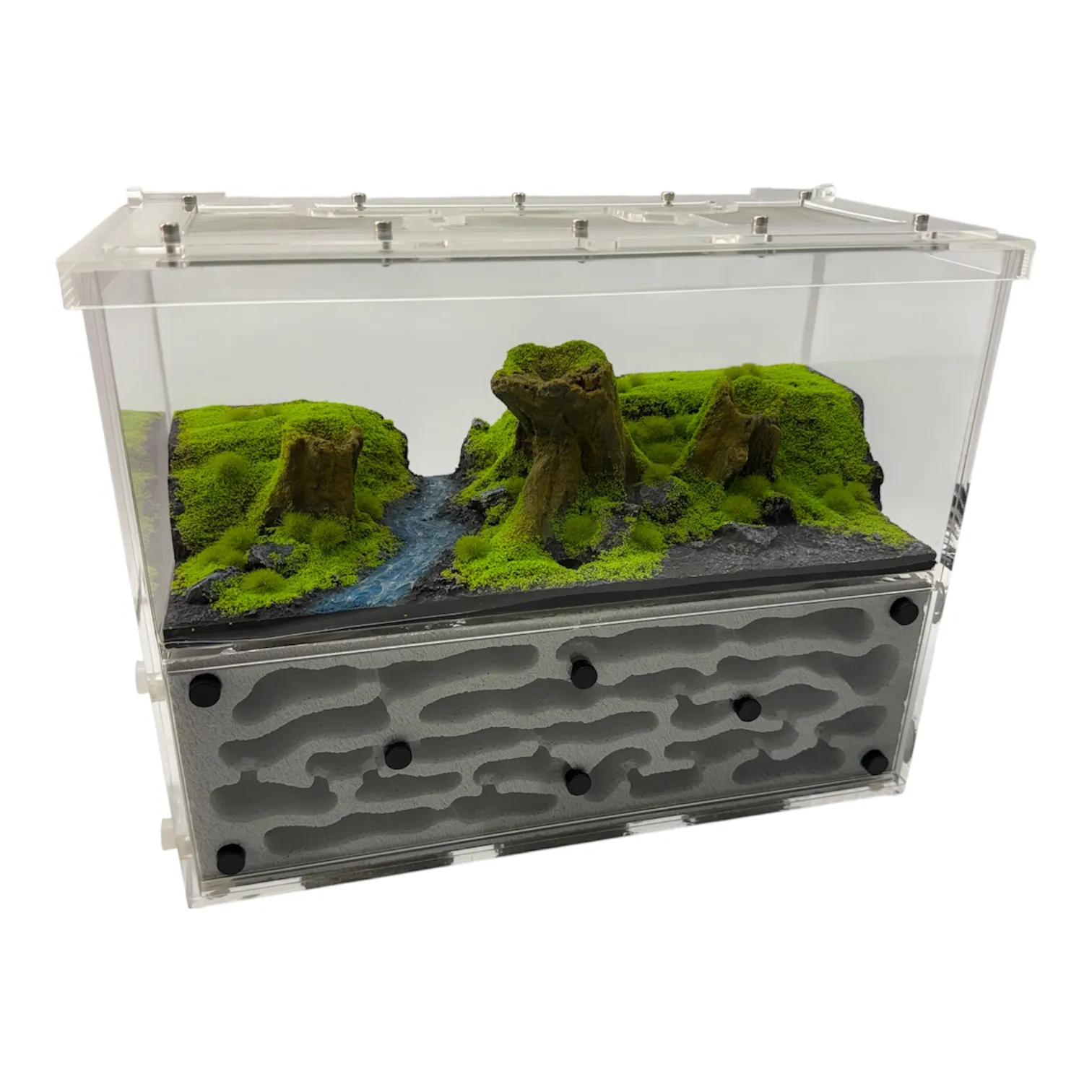 Formicarium Ant Paradise Pro