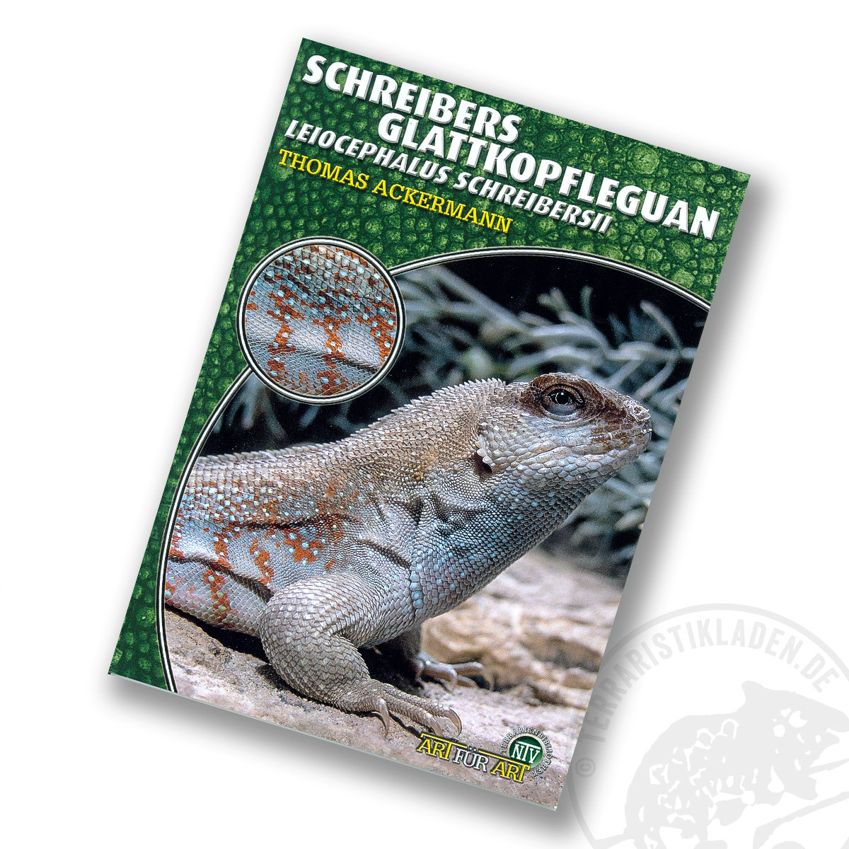 Art für Art Schreibers Glattkopfleguan