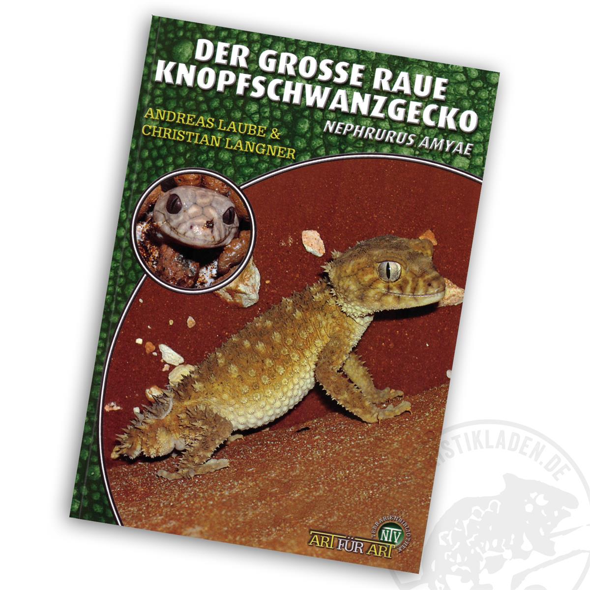 Art für Art Der große raue Knopfschwanzgecko