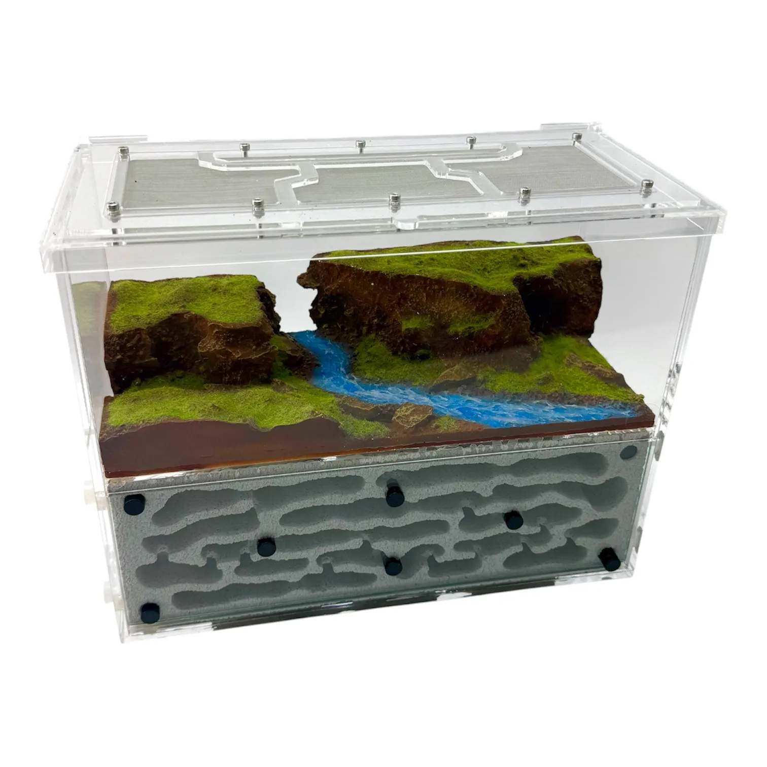 Formicarium Ant Paradise Pro Felslandschaft