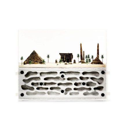 Formicarium Ant Paradise Pro Egypt