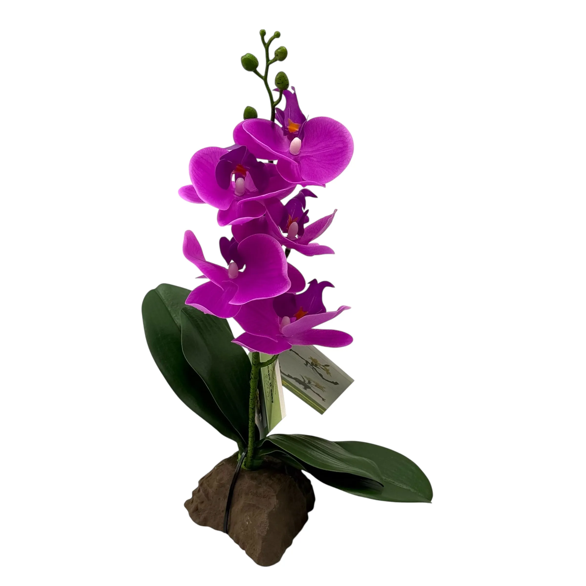 Orchid Purple small