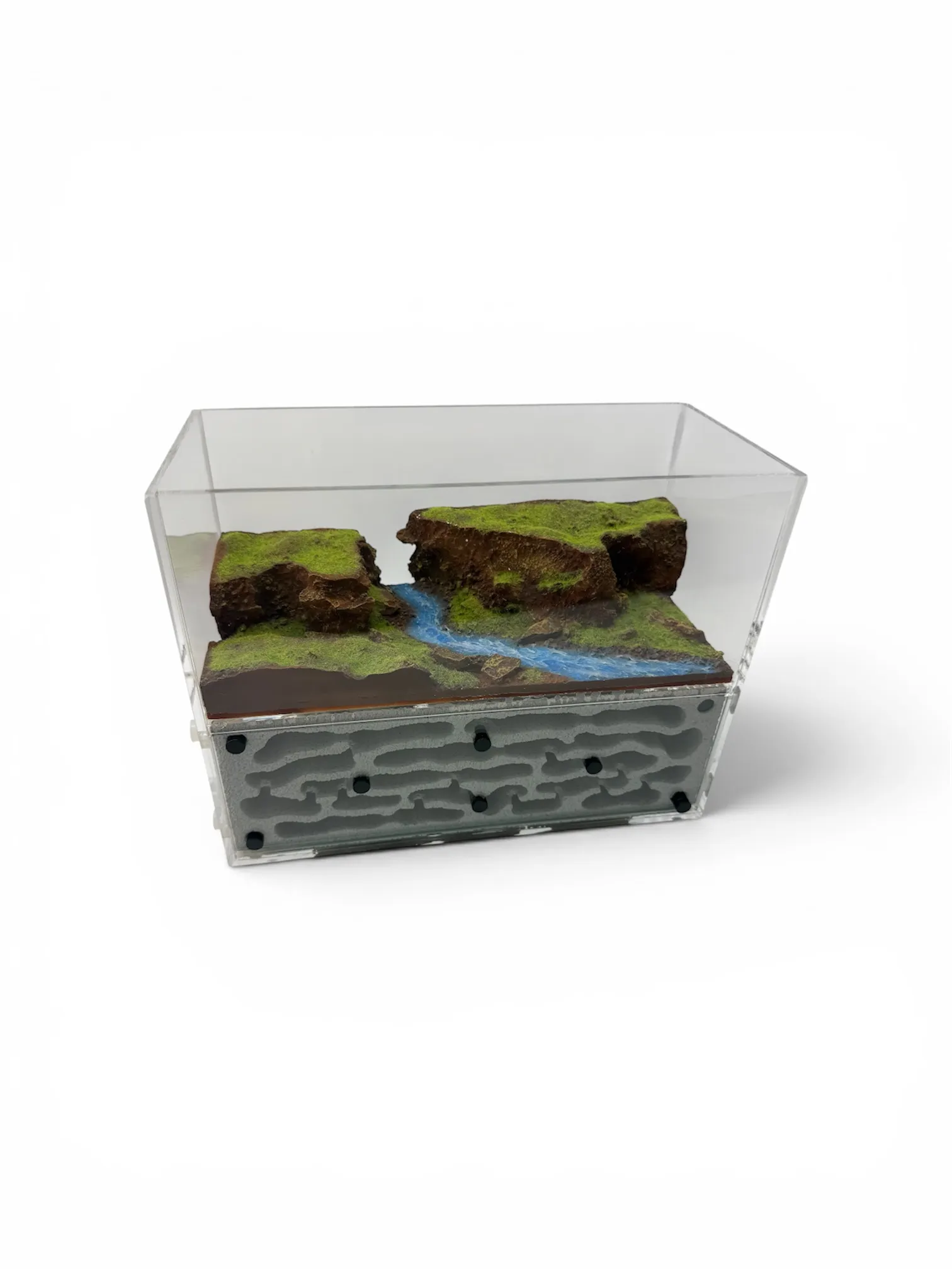 Formicarium Ant Paradise Pro Felslandschaft
