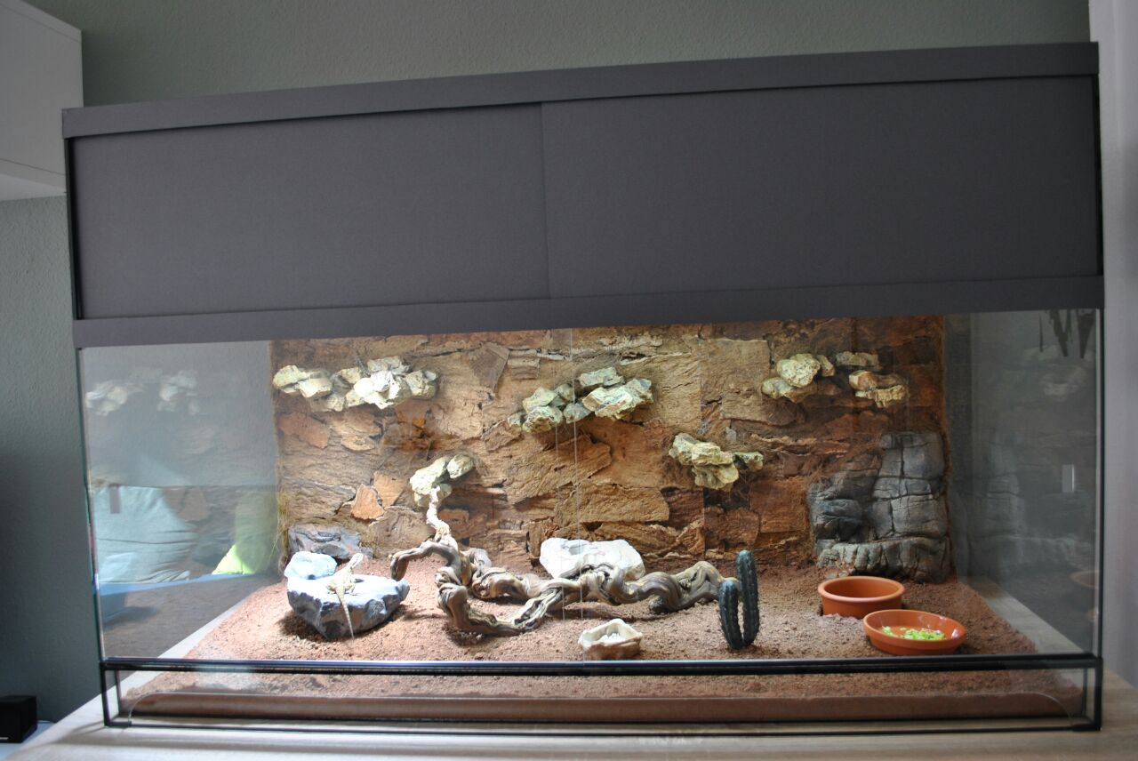 Design Terrarium