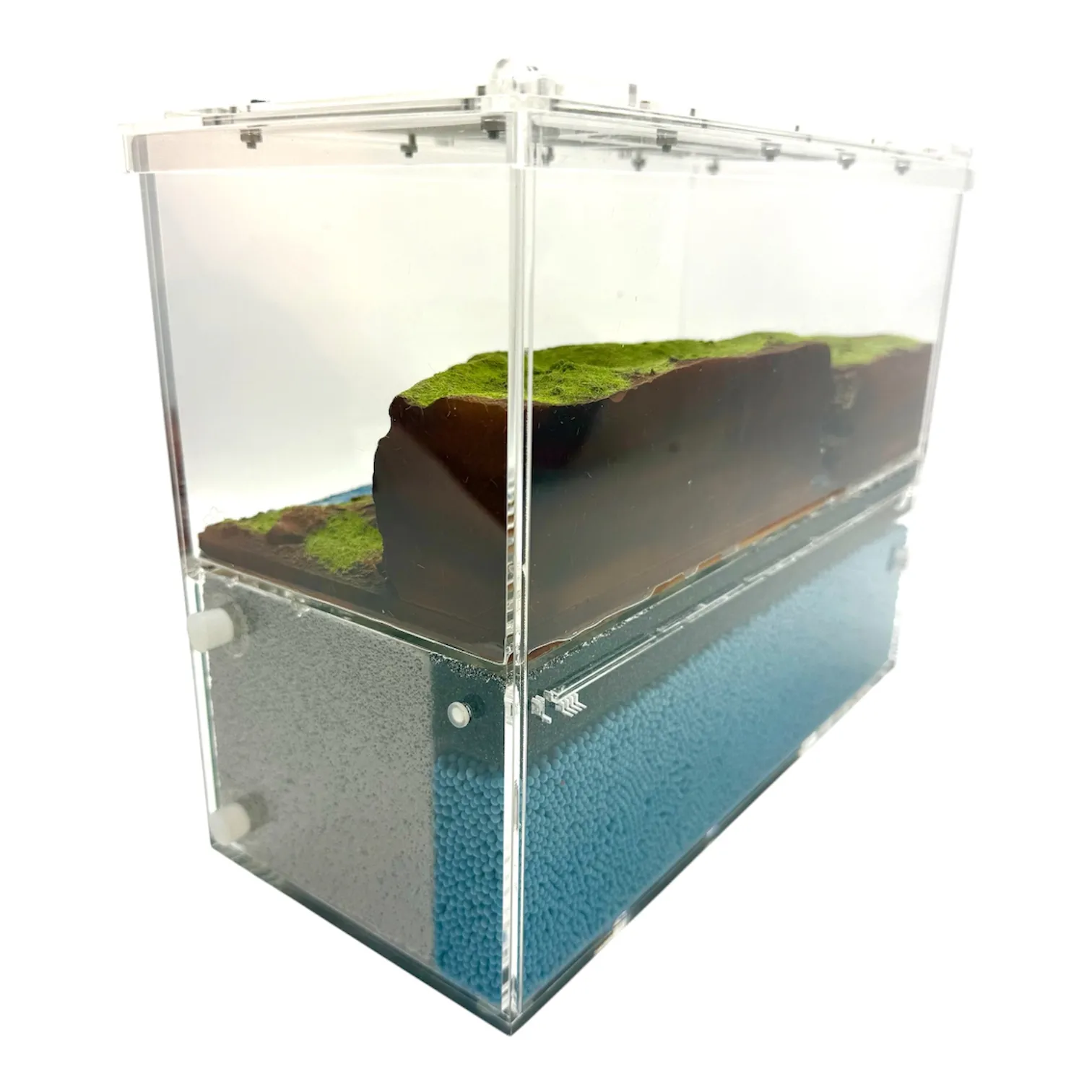 Formicarium Ant Paradise Pro Felslandschaft