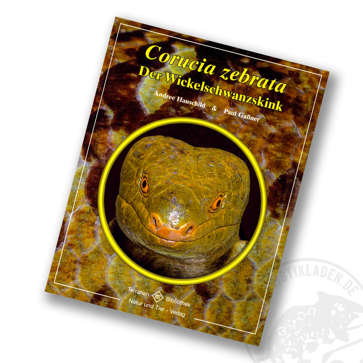 Der Wickelschwanzskink - Corucia zebrata