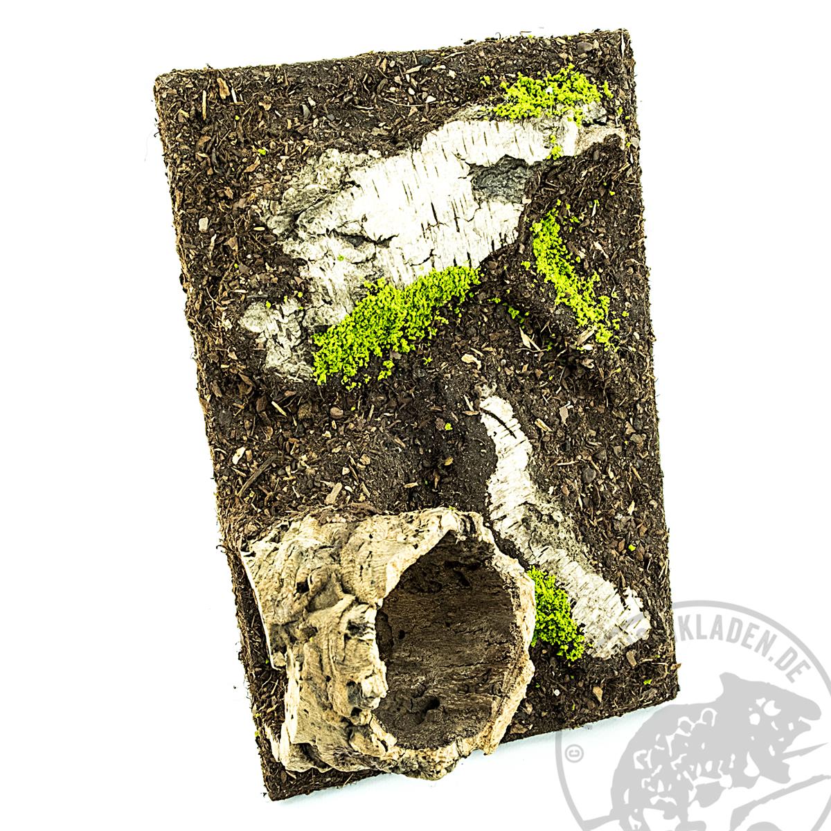 Terrarienrückwände mit Pflanzmulde 28 x 38 cm