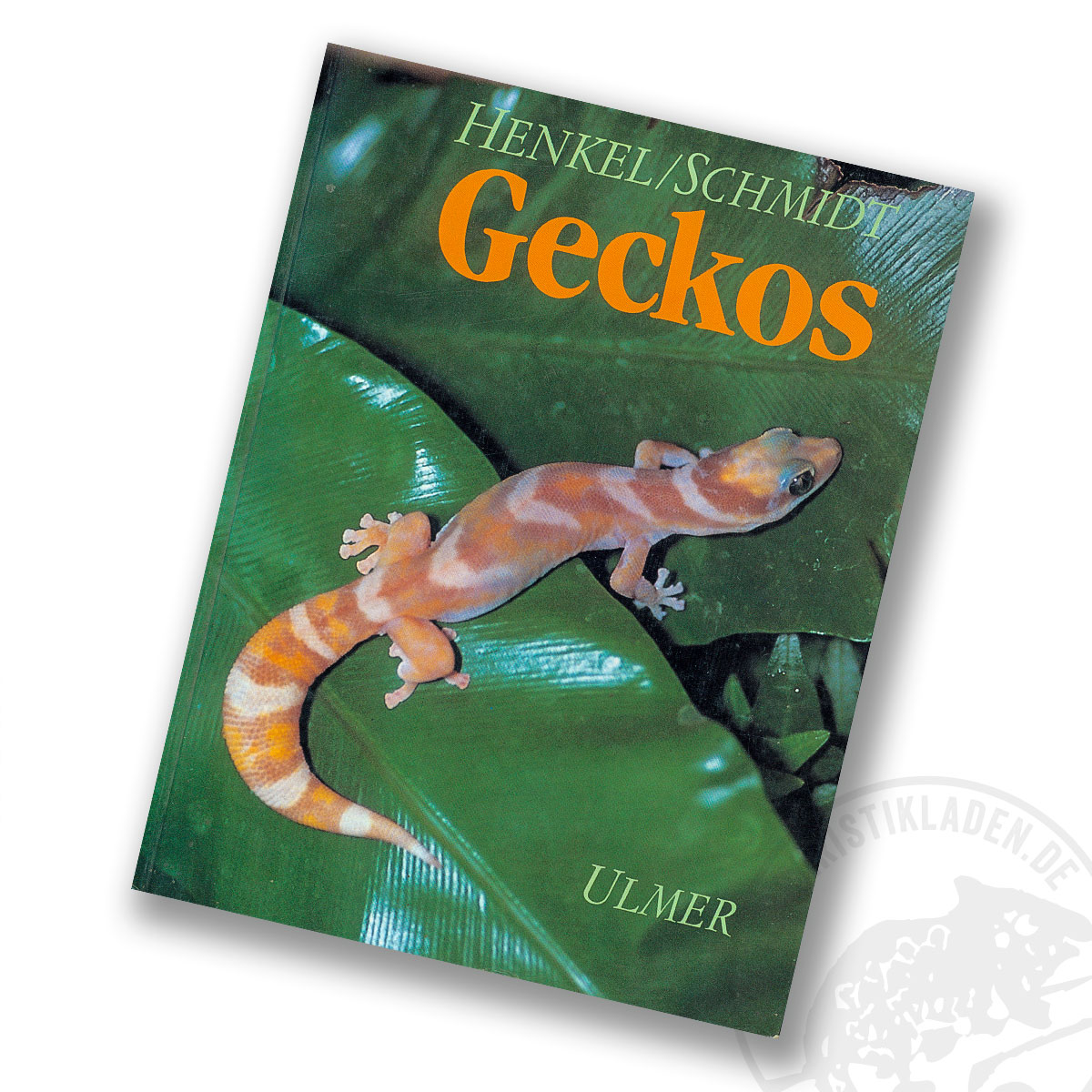 Geckos