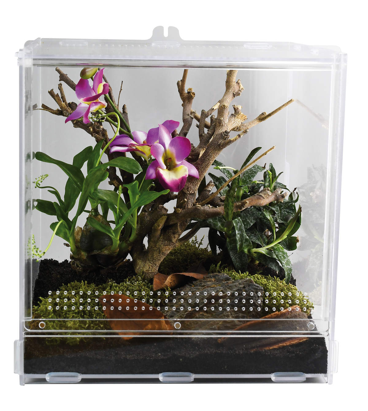 Life Terrarium 30 x 30 x 30 cm 