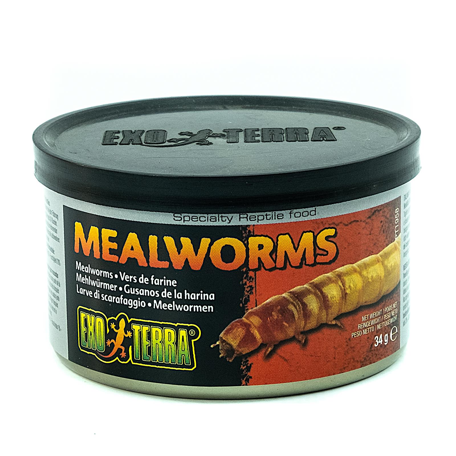 Mealworms