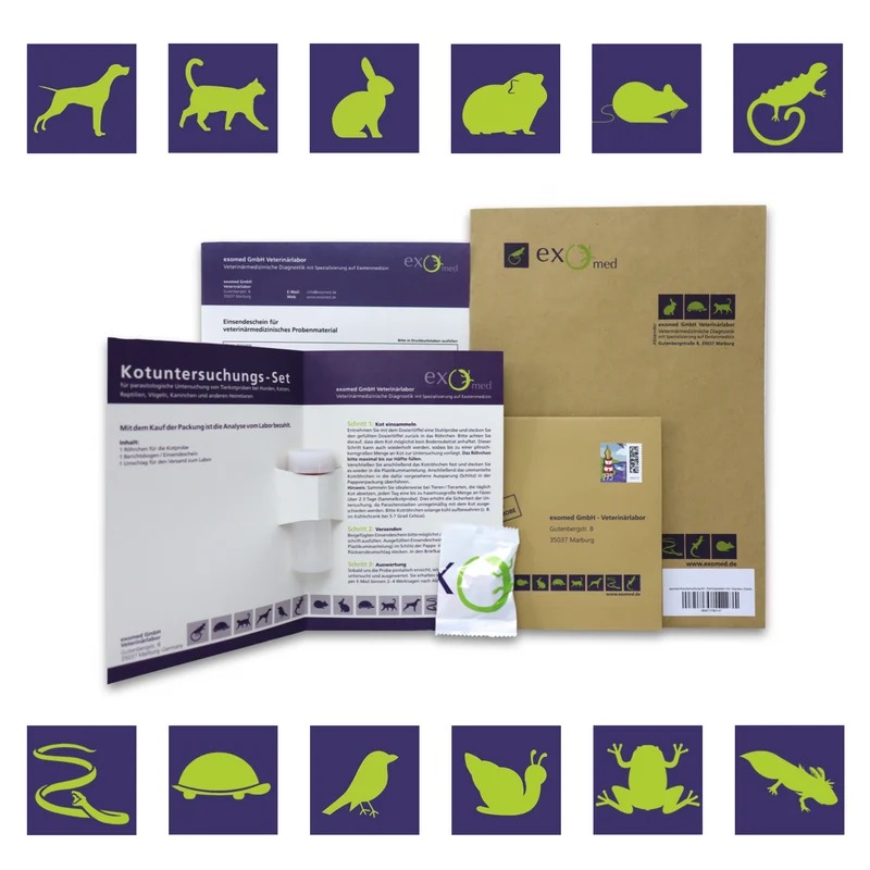 Kotuntersuchung für Reptilien – Basis-Test auf Darmparasiten von exomed