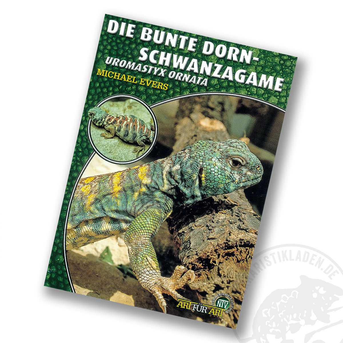 Art für Art Die Bunte Dornschwanzagame