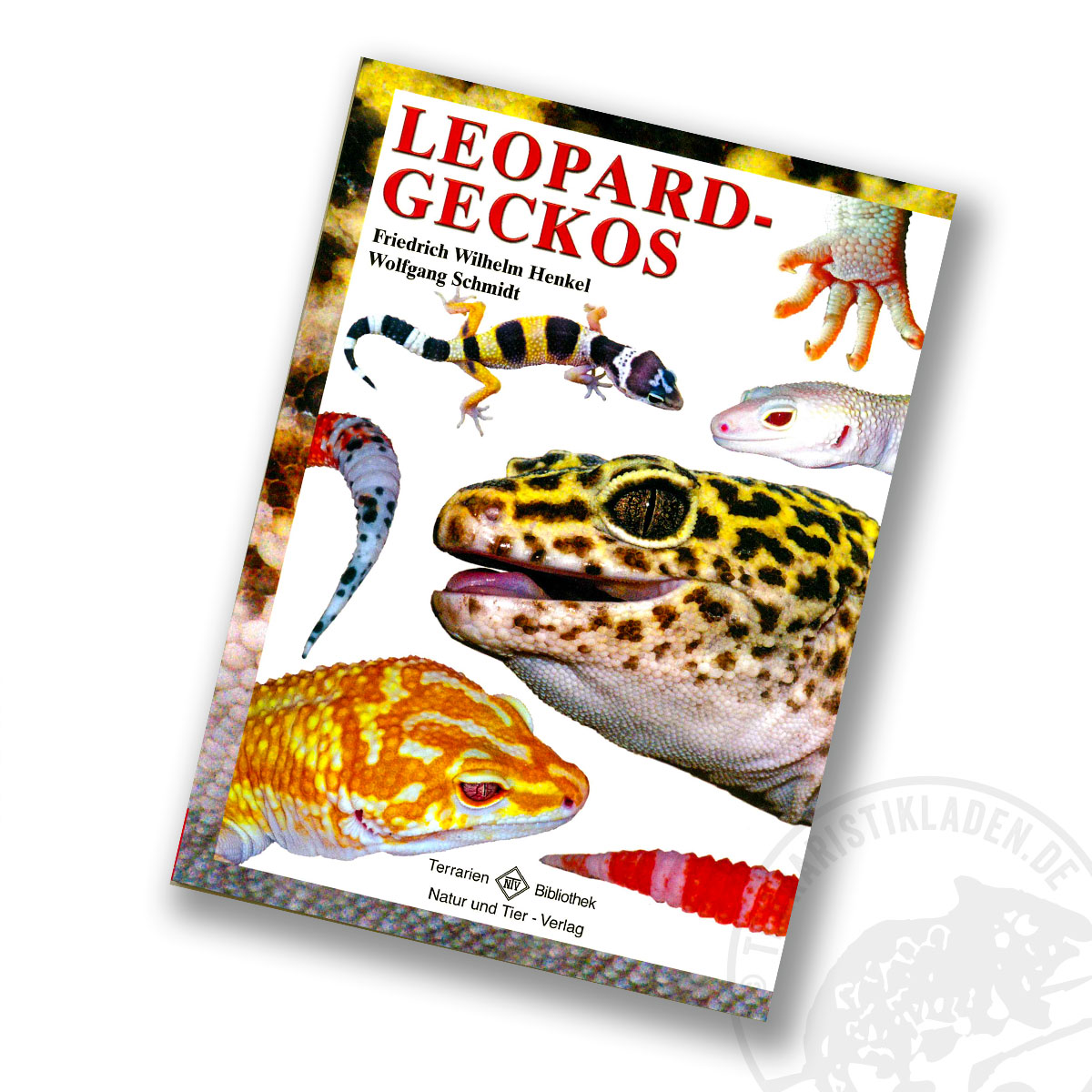 Leopardgeckos