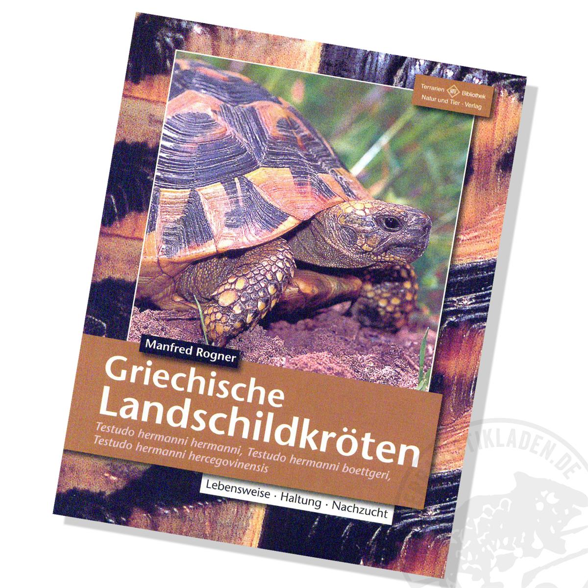 Griechische Landschildkröten