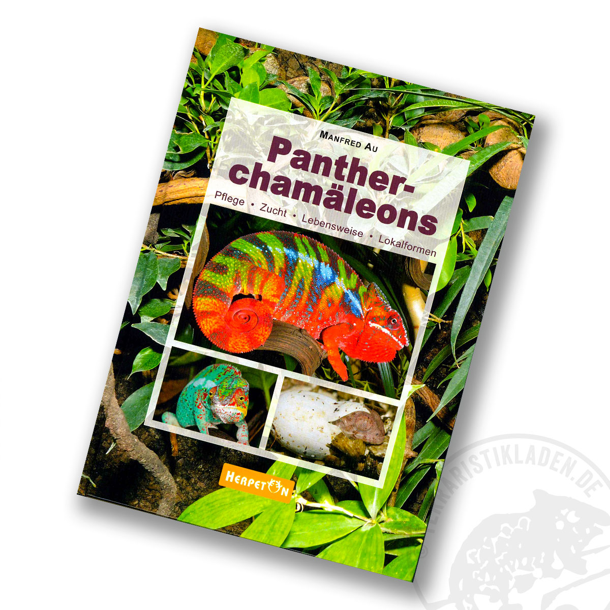 Pantherchamäleons