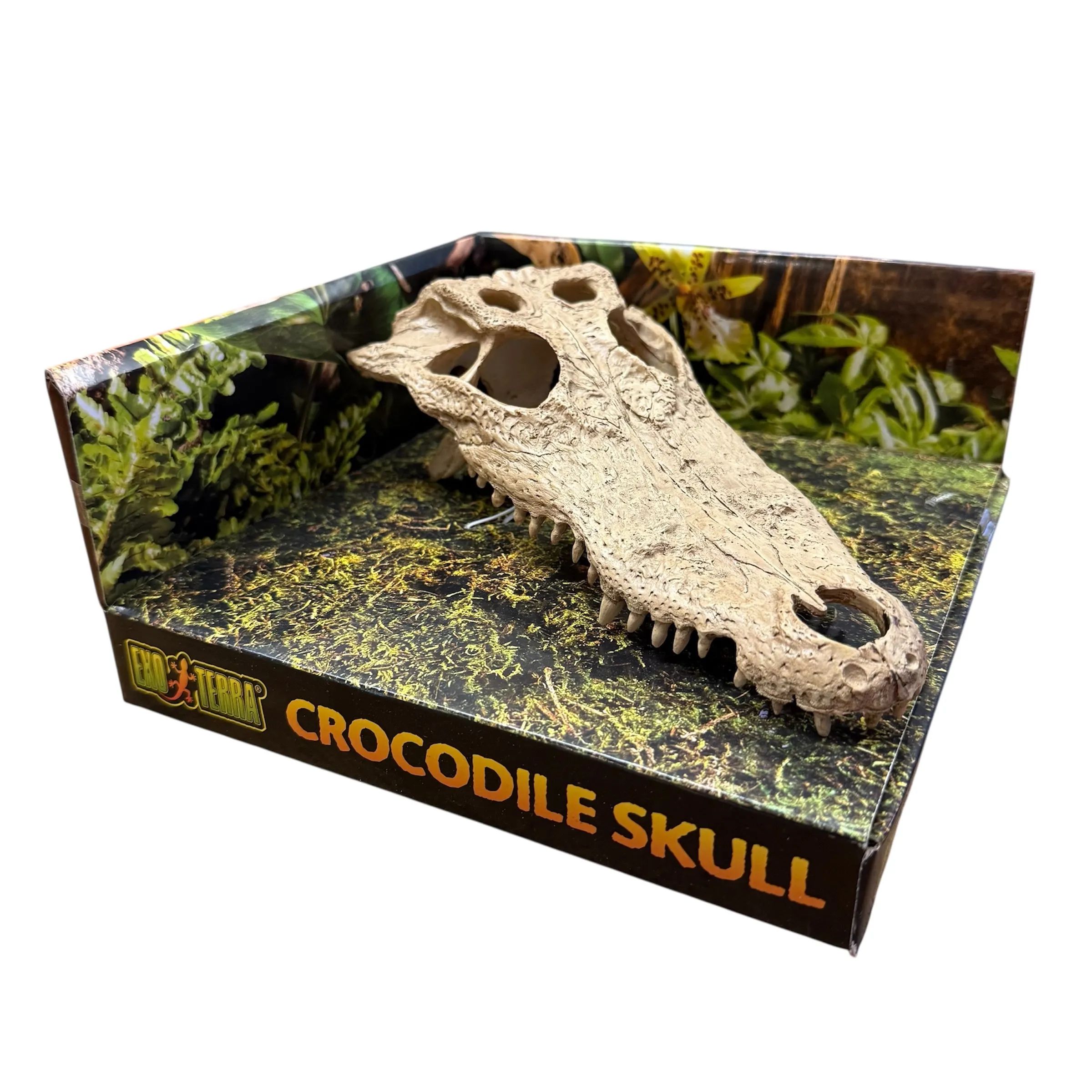 Exo Terra Crocodile Skull