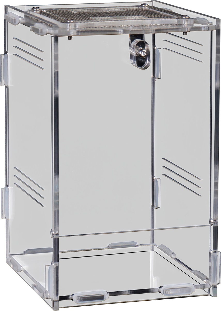 Repto Terra Clear 30 x 20 x 16 cm