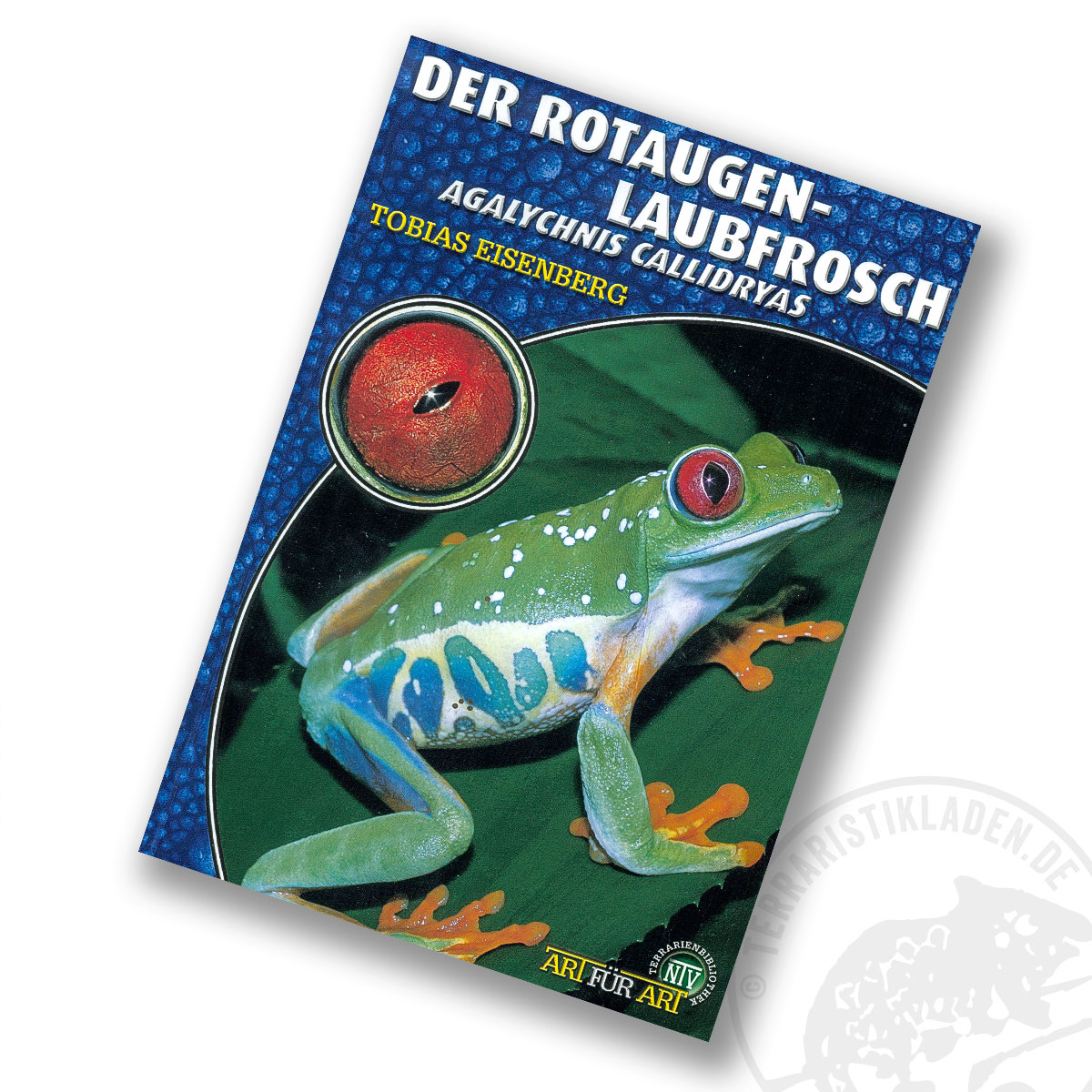 Art für Art  Der Rotaugenlaubfrosch