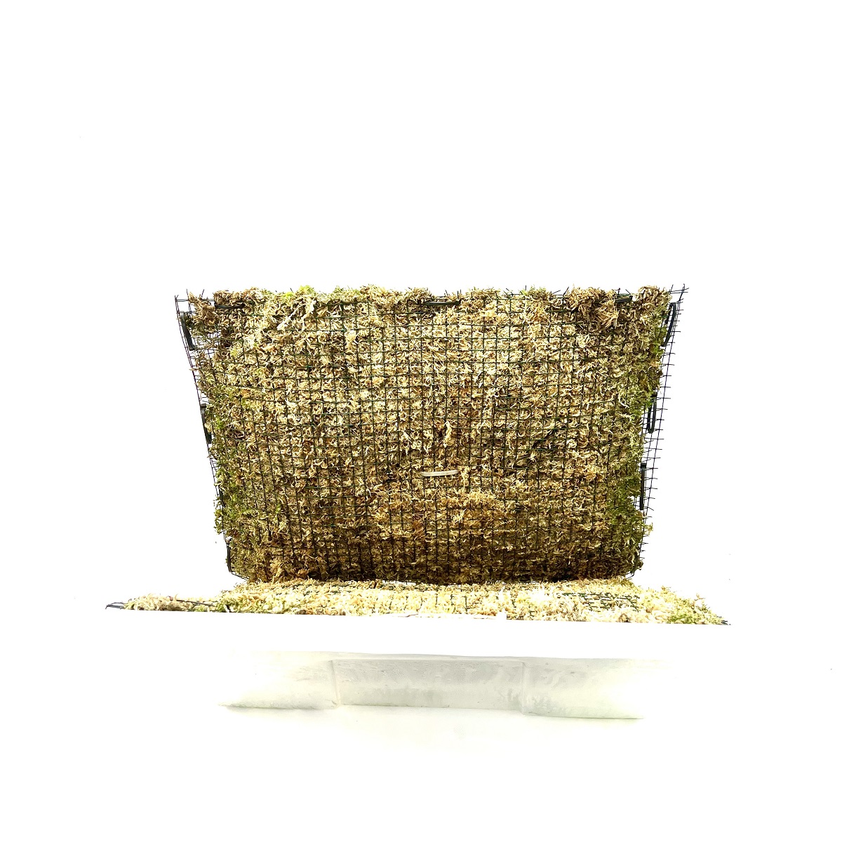 Grow Box 59 x 39,5 x 42 Grow Box 59 x 39,5 x 42