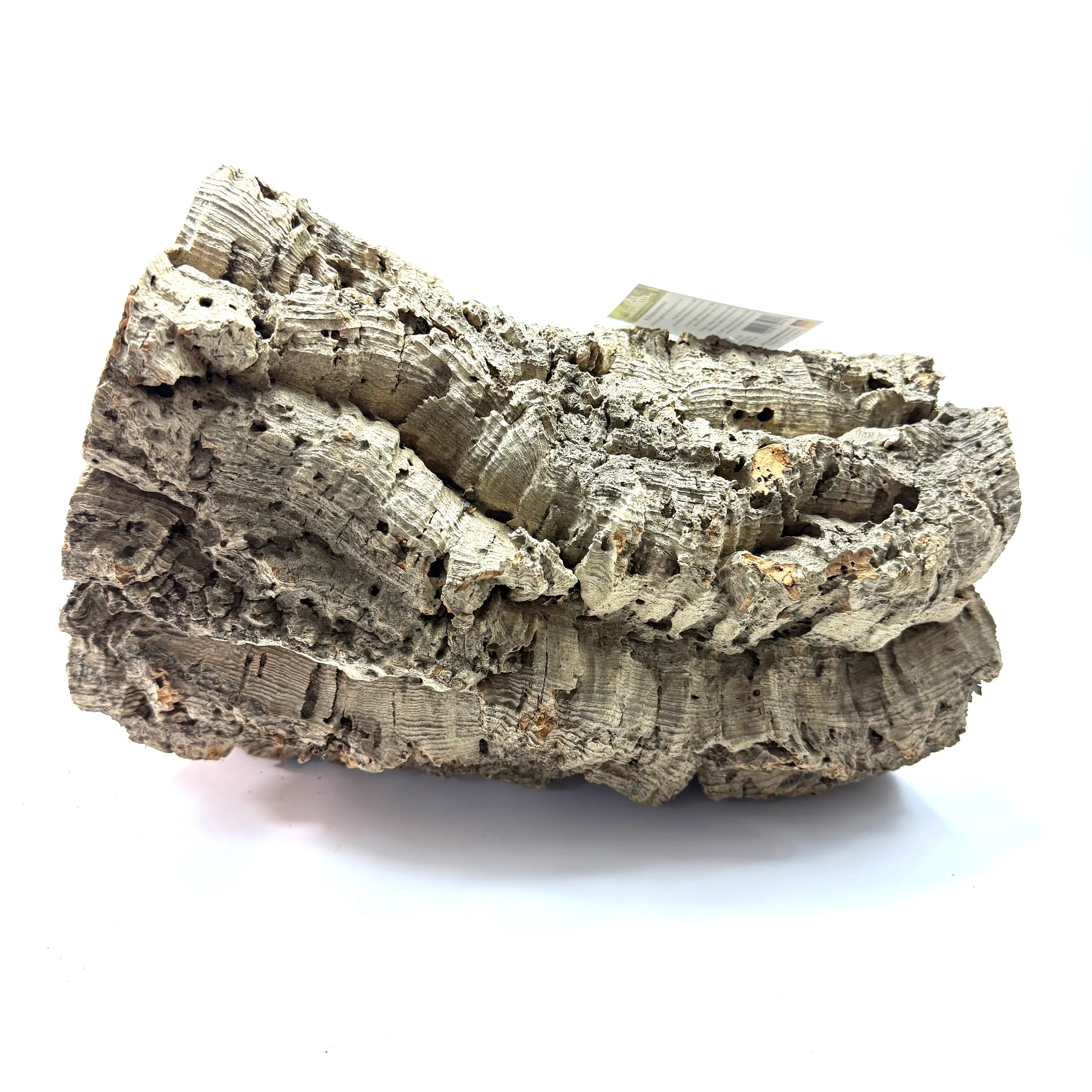 Korkröhre Korkeiche Tunnel M