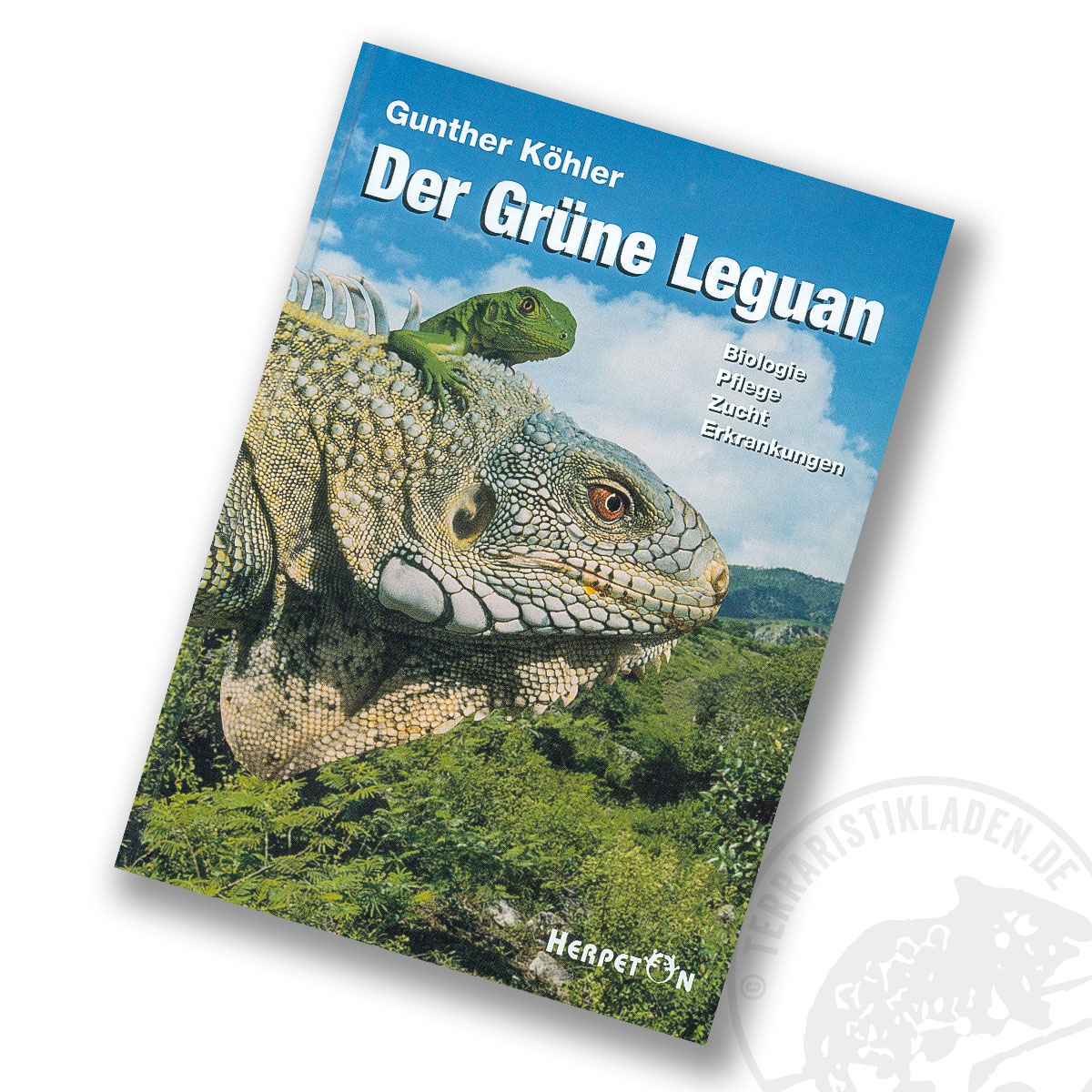 Der Grüne Leguan