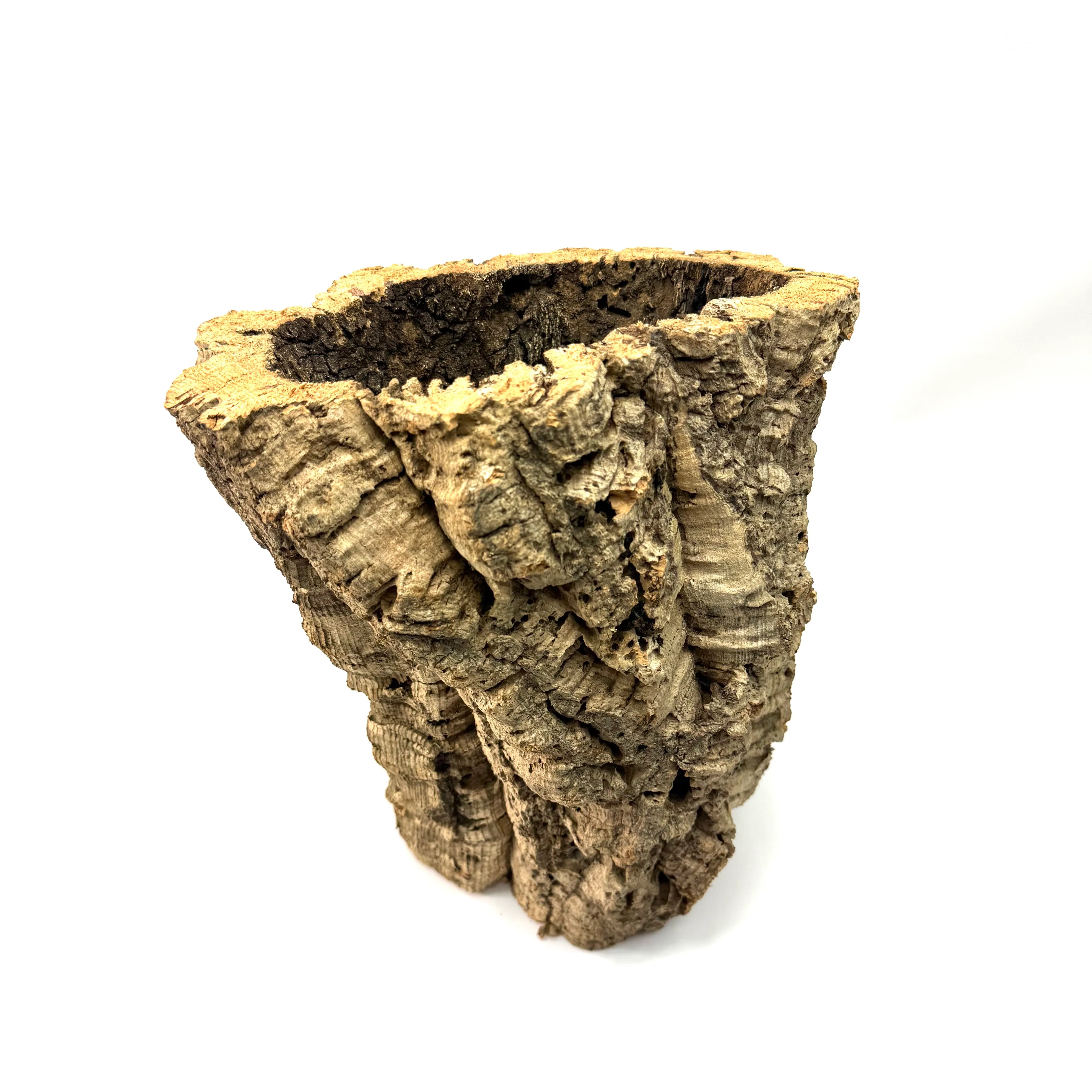 Korkröhre Korkeiche Tunnel M