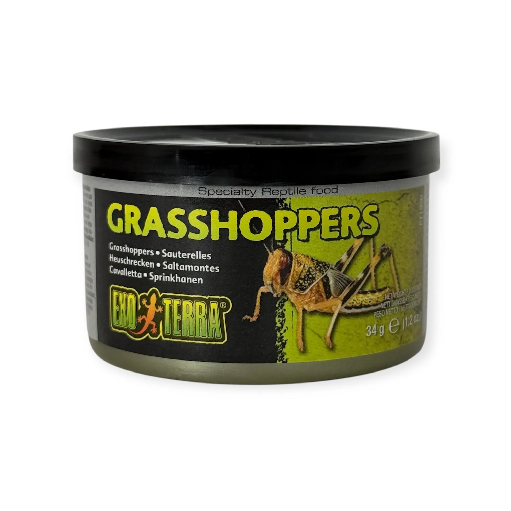 Exo Terra Grasshoppers
