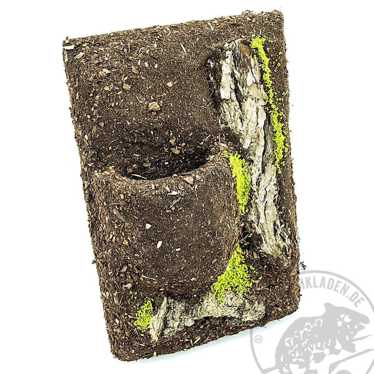 Terrarienrückwände mit Pflanzmulde 18 x 28 cm