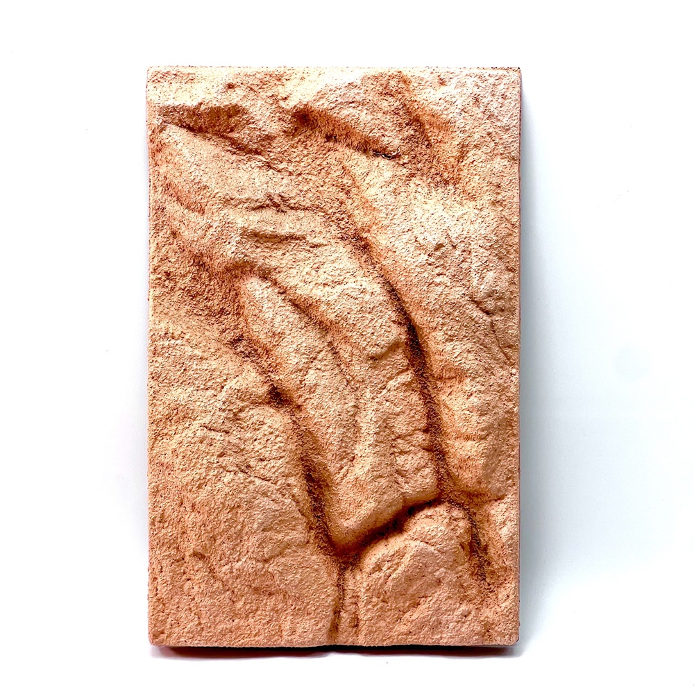 Lucky Reptile Rock Background  28 x 43 cm|Outback Red