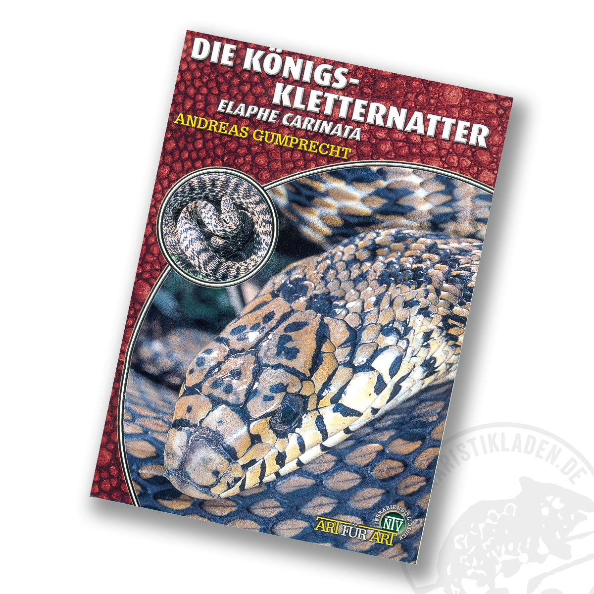 Art für Art Die Königs- Kletternatter Elaphe Carinata