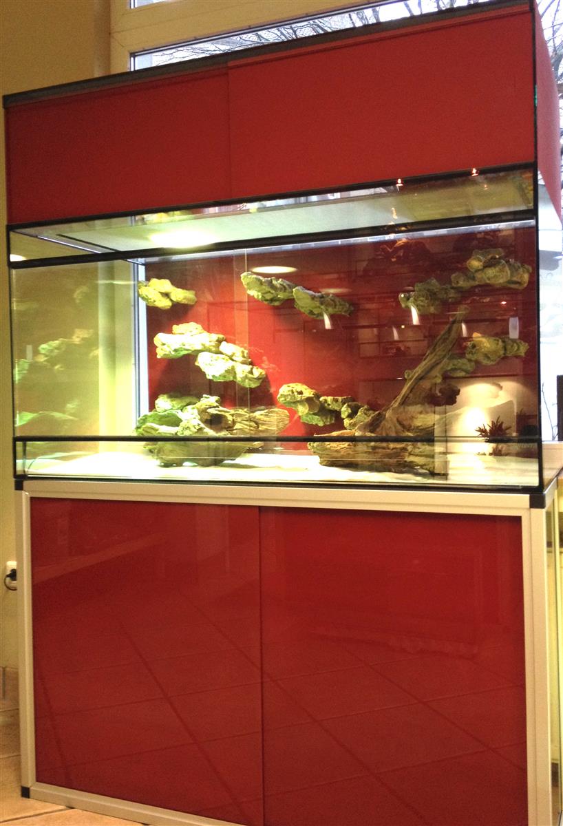 Design Terrarium