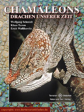 Chamäleons  - Drachen unserer Zeit