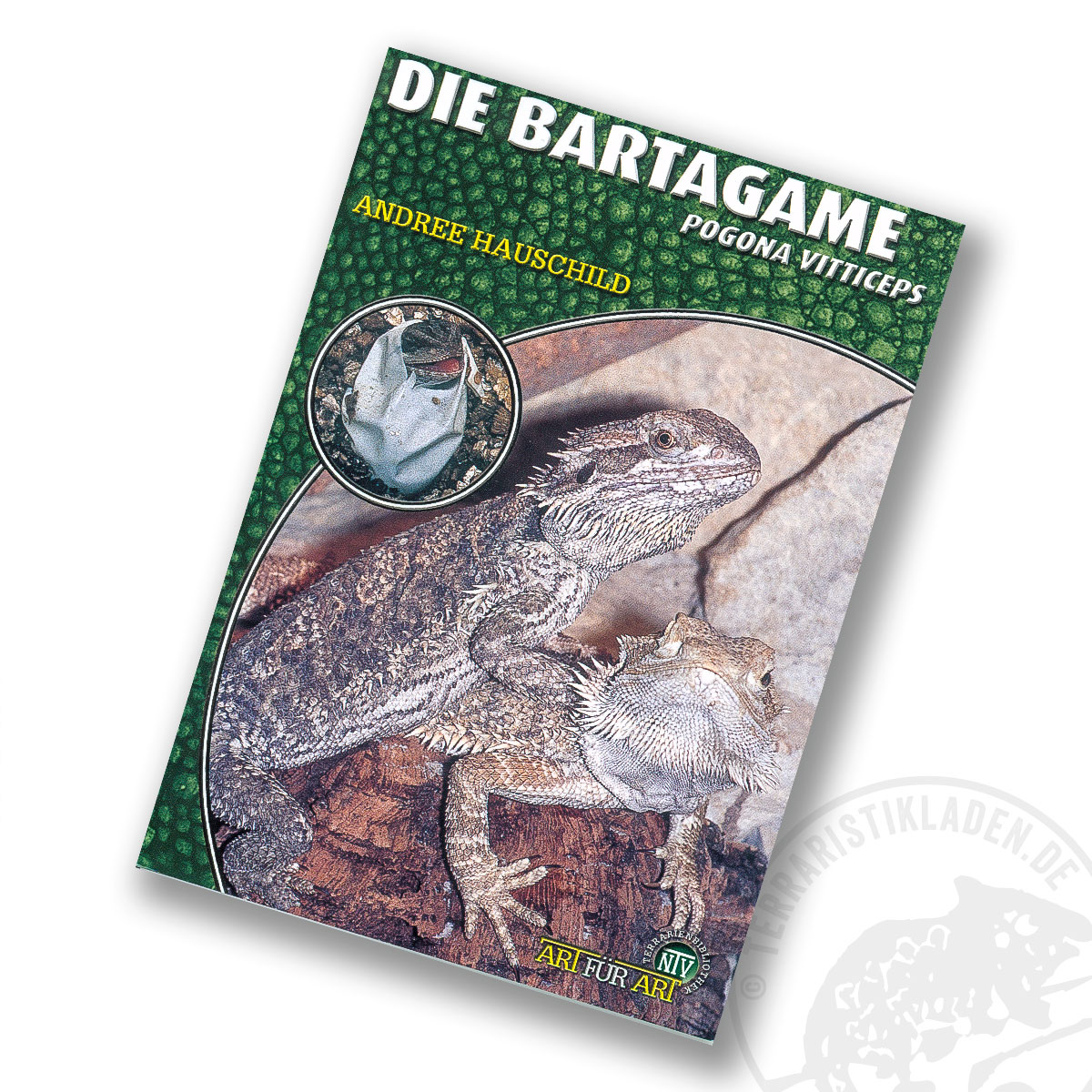 Art für Art Die Bartagame