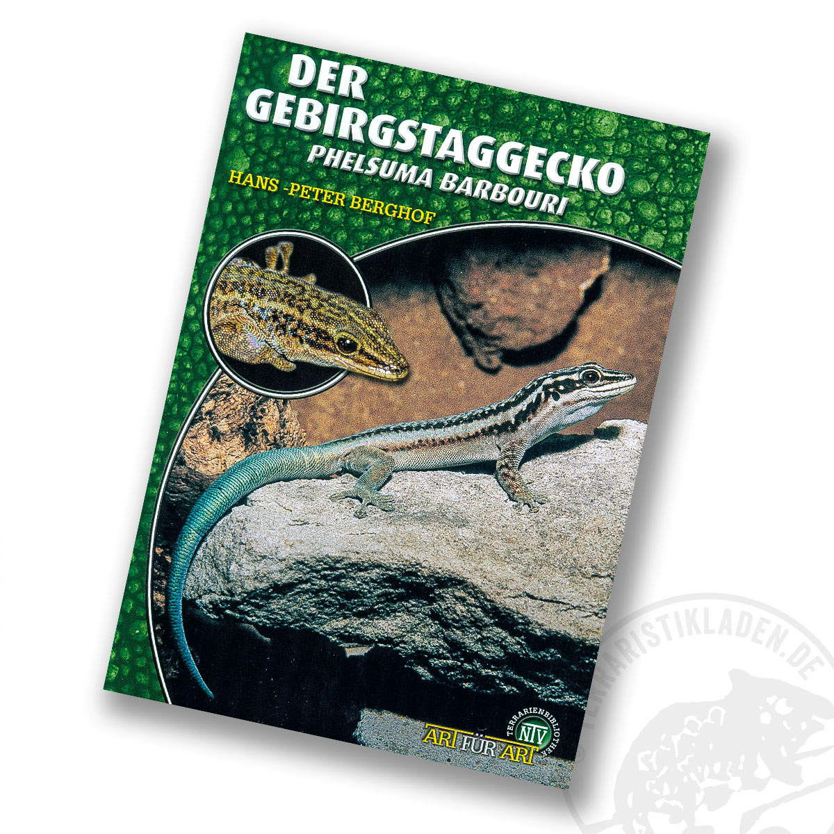 Art für Art Der Gebirgstaggecko