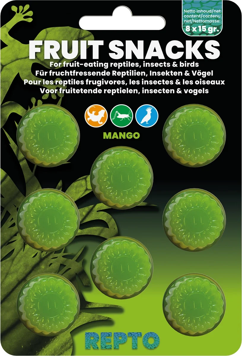 Fruit Snacks Mango