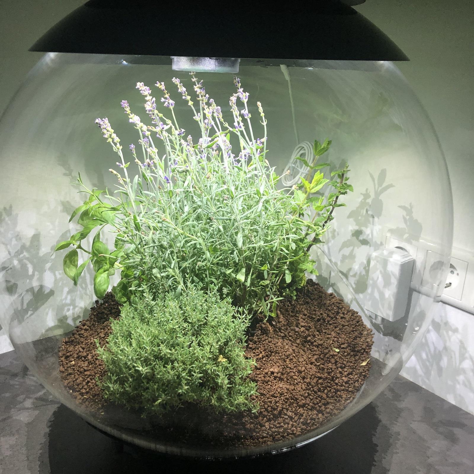 biOrb Air 30