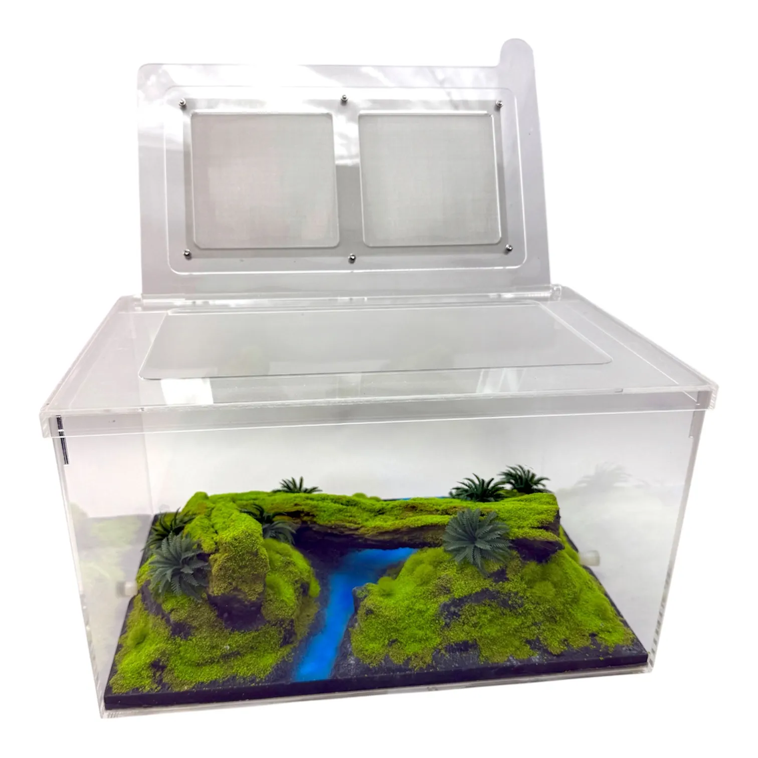 Ameisen Arena Ant Paradise Pro