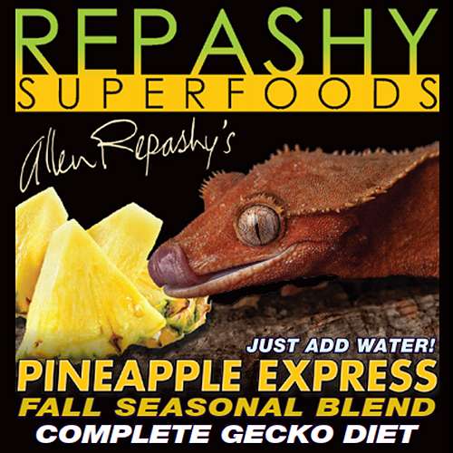 Repashy Pineapple Express
