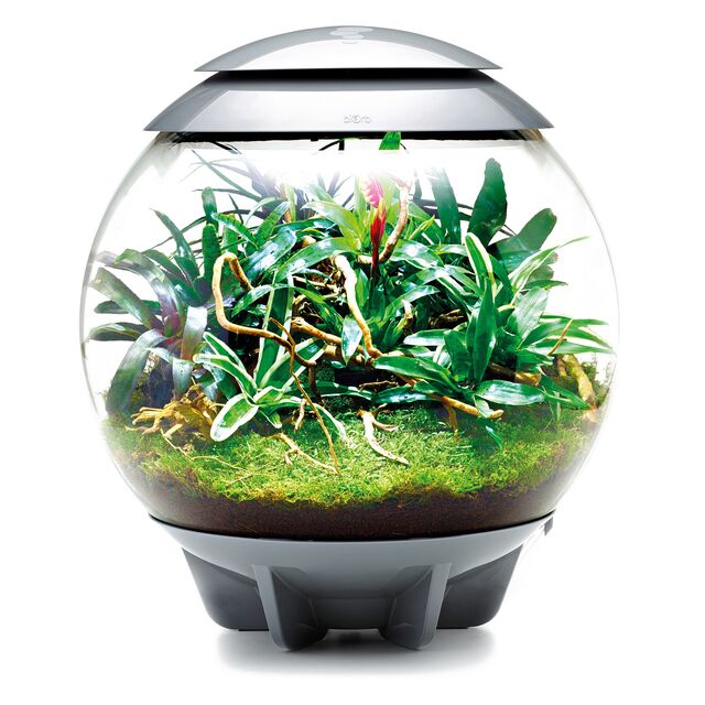 biOrb Air 60 Oase grau