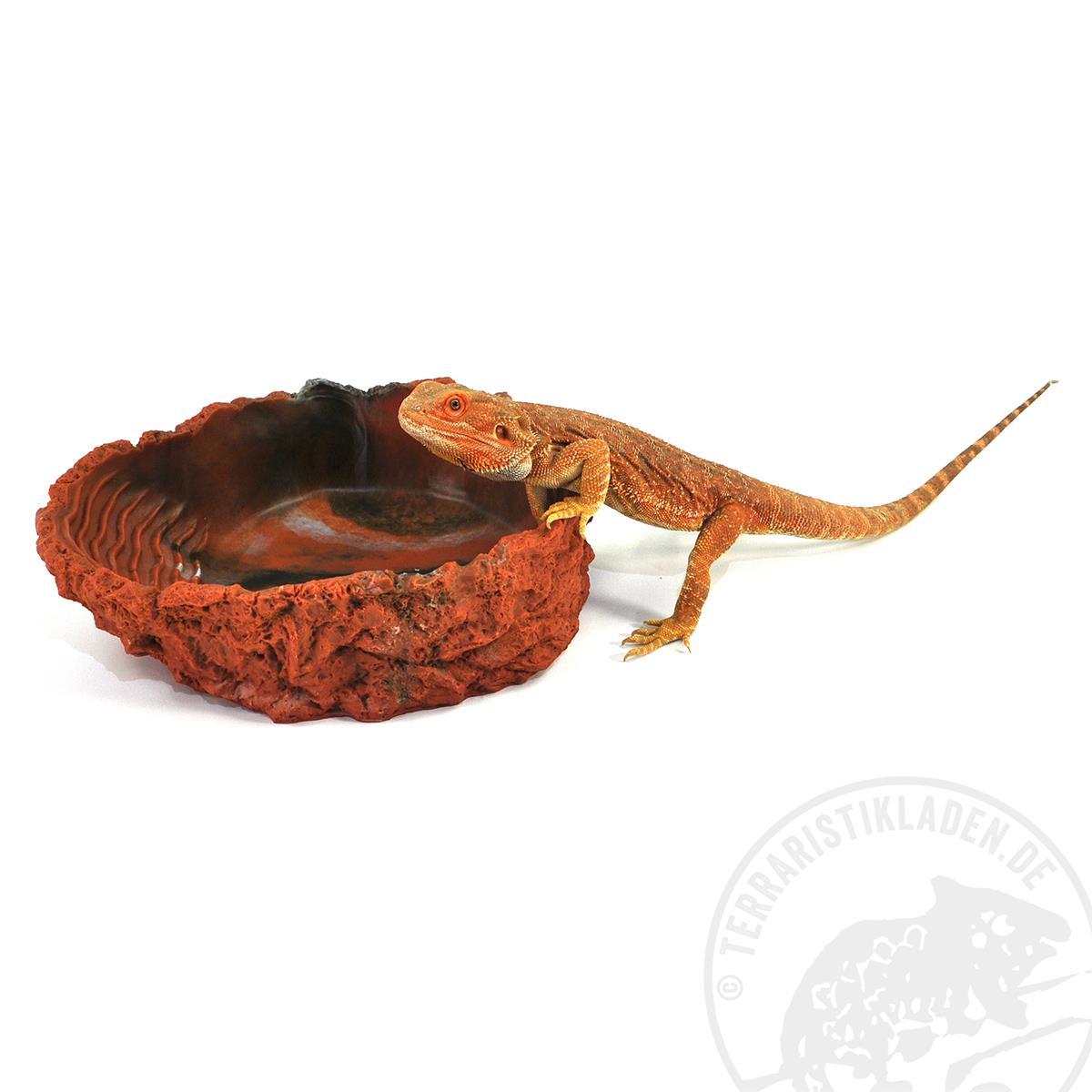 Hobby Trinkschale rot