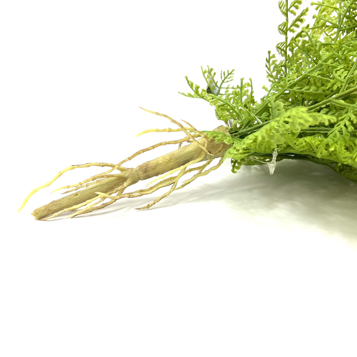 Naturalistic Flora Lace Fern