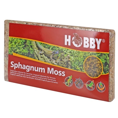Sphagnum Moos Hobby
