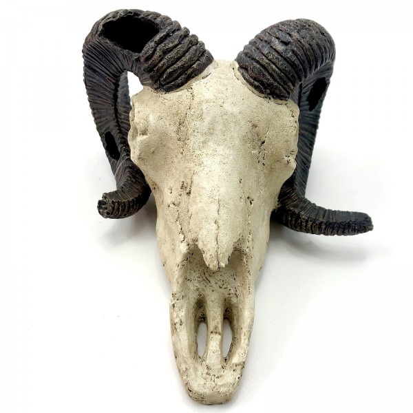 Deko Skull Ram