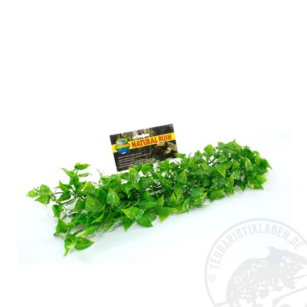 Zoo Med Natural Bush Mexican Philo