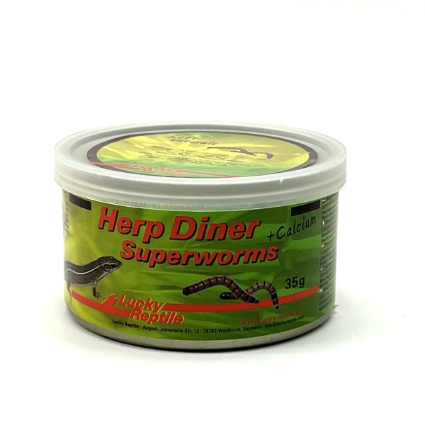 Herp Diner Superworms + Calcium